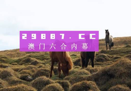 今晚澳門9點(diǎn)35分的彩票開獎(jiǎng)，期待與驚喜交織的時(shí)刻，澳門今晚9點(diǎn)35分彩票開獎(jiǎng)，期待與驚喜交匯的時(shí)刻