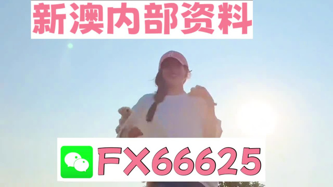揭秘彩票奧秘，探索精準一肖特77777與88888的奧秘，揭秘彩票神秘面紗，探尋精準生肖特碼77777與88888奧秘