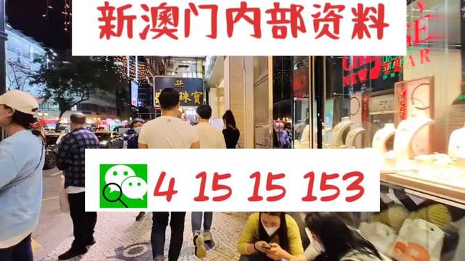 探索未來，2025新澳最新版精準特色解析，探索未來，揭秘新澳最新版精準特色解析（2025版）