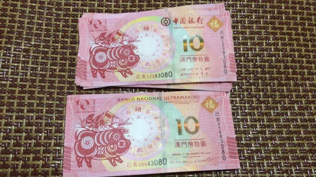 新澳門生肖走勢圖，深度解析與預(yù)測，澳門生肖走勢圖深度解析及預(yù)測報(bào)告