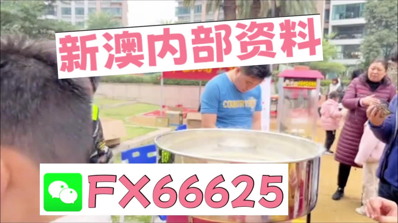 2025新澳天天開彩最新資料大全——全方位解析與預(yù)測(cè)，2025新澳天天開彩最新資料大全——全面解析與精準(zhǔn)預(yù)測(cè)