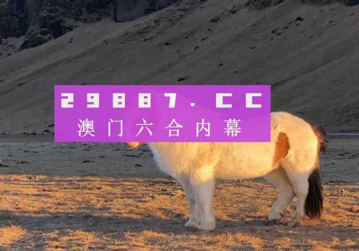 澳門天天彩資料正版免費特色快8，探索彩票世界的魅力與機遇，澳門天天彩正版特色快8，彩票世界的魅力與機遇探索