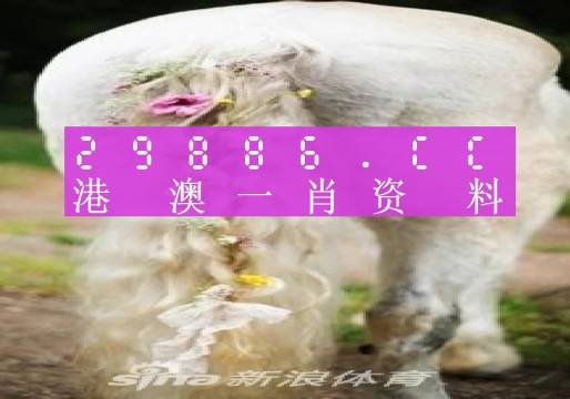 澳門羊了個(gè)羊與各大圖庫的資料揭秘，2023年澳門今晚必中一肖一碼永久免費(fèi)資料庫大解密，澳門羊了個(gè)羊與資料庫揭秘，2023年必中一肖一碼永久免費(fèi)資料大解密