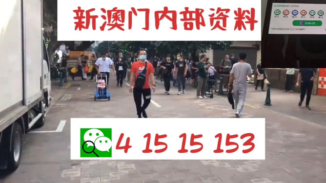澳門管家婆，揭秘一種獨(dú)特的文化現(xiàn)象與娛樂體驗(yàn)，澳門管家婆，文化現(xiàn)象與娛樂體驗(yàn)的揭秘