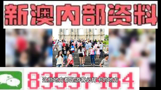 新澳天天開獎資料大全旅游團(tuán)——探索澳門的魅力之旅，澳門魅力探索之旅，新澳天天開獎資料大全旅游團(tuán)