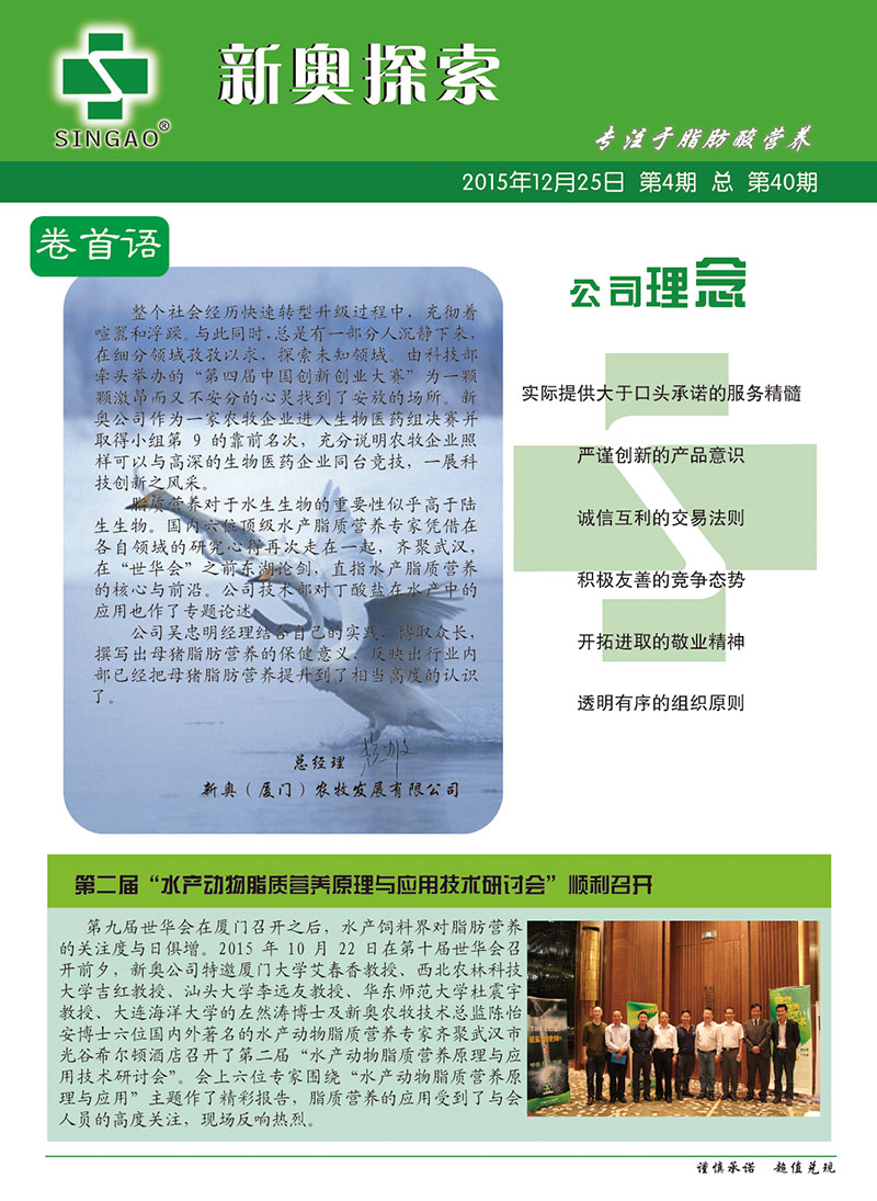 2025新澳正版資料查詢指南，2025新澳正版資料查詢手冊