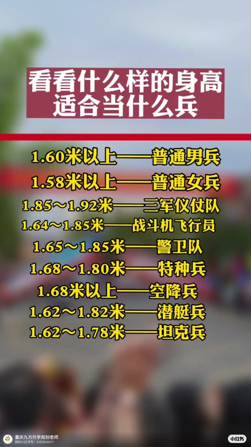 儀仗兵身高標(biāo)準(zhǔn)，探究與解析，儀仗兵身高標(biāo)準(zhǔn)，探究與詳解