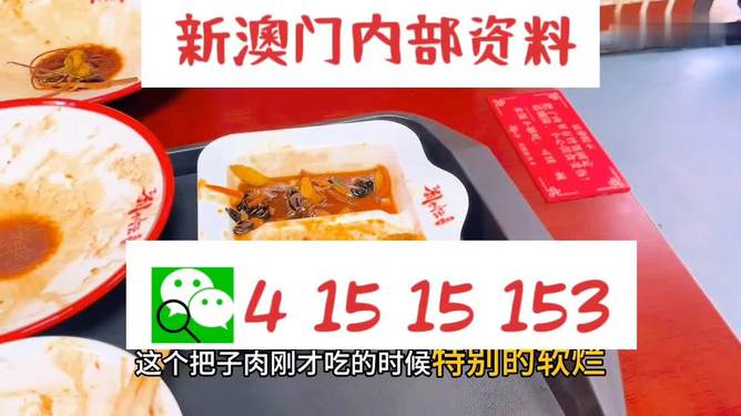 澳門王中王六碼新澳門，探索與解析，澳門王中王六碼新澳門，深度探索與解析