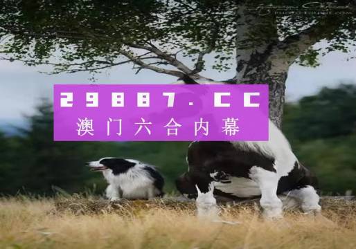 澳門正版全資料，探索2021年的無限可能，澳門正版全資料揭秘，2021年無限可能的探索