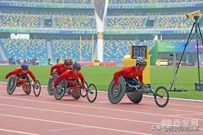2025年澳門精準免費大全——全面解析澳門未來展望與特色體驗，澳門未來展望與特色體驗解析，澳門精準免費大全（2025版）