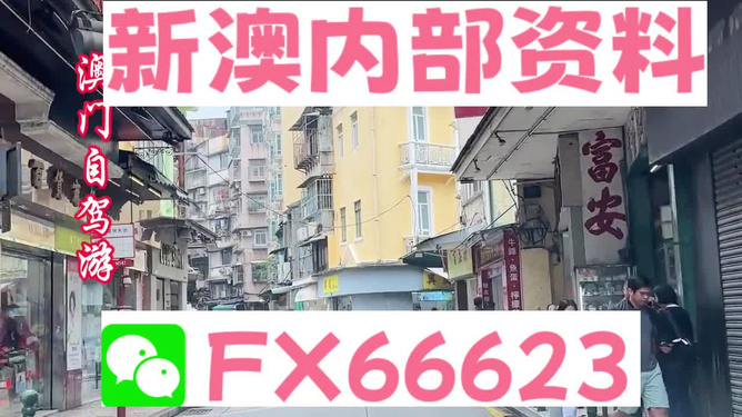 新澳精準(zhǔn)資料免費提供，探索與解析，新澳精準(zhǔn)資料解析與探索，免費提供的深度解讀