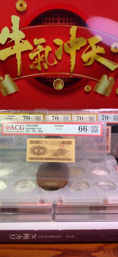 王中王致家一肖，解析背后的故事與奧秘，揭秘王中王致家一肖背后的故事與奧秘