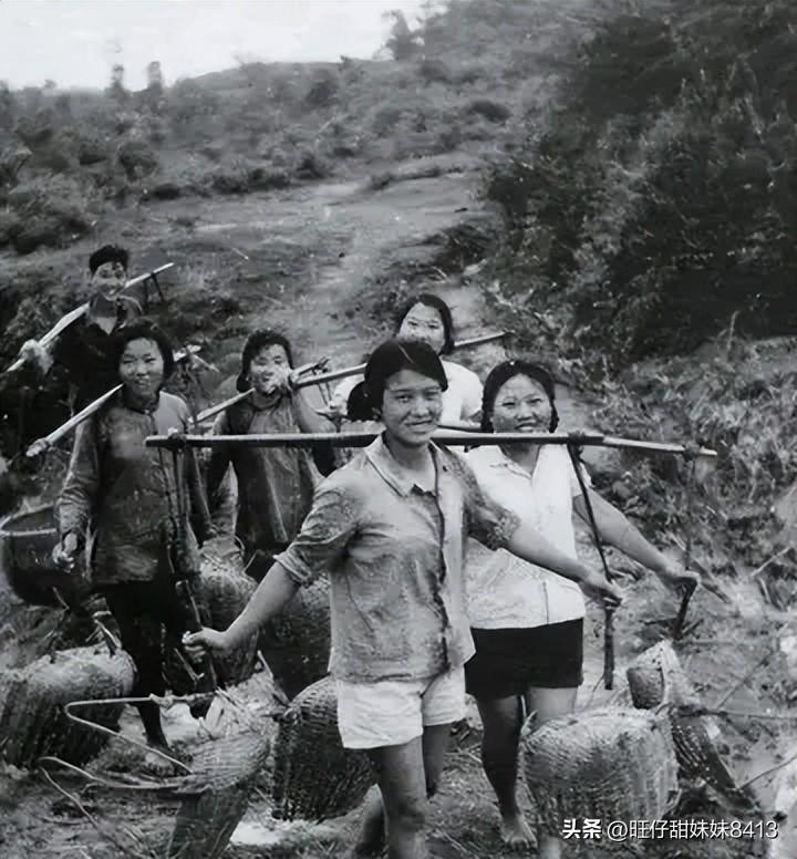 關(guān)于49圖庫圖片資料的專業(yè)解析與探索，49圖庫圖片資料深度解析與探索