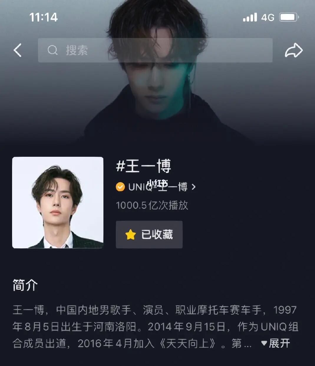 王中王一肖內(nèi)部資料詳解，王中王一肖內(nèi)部資料深度解析