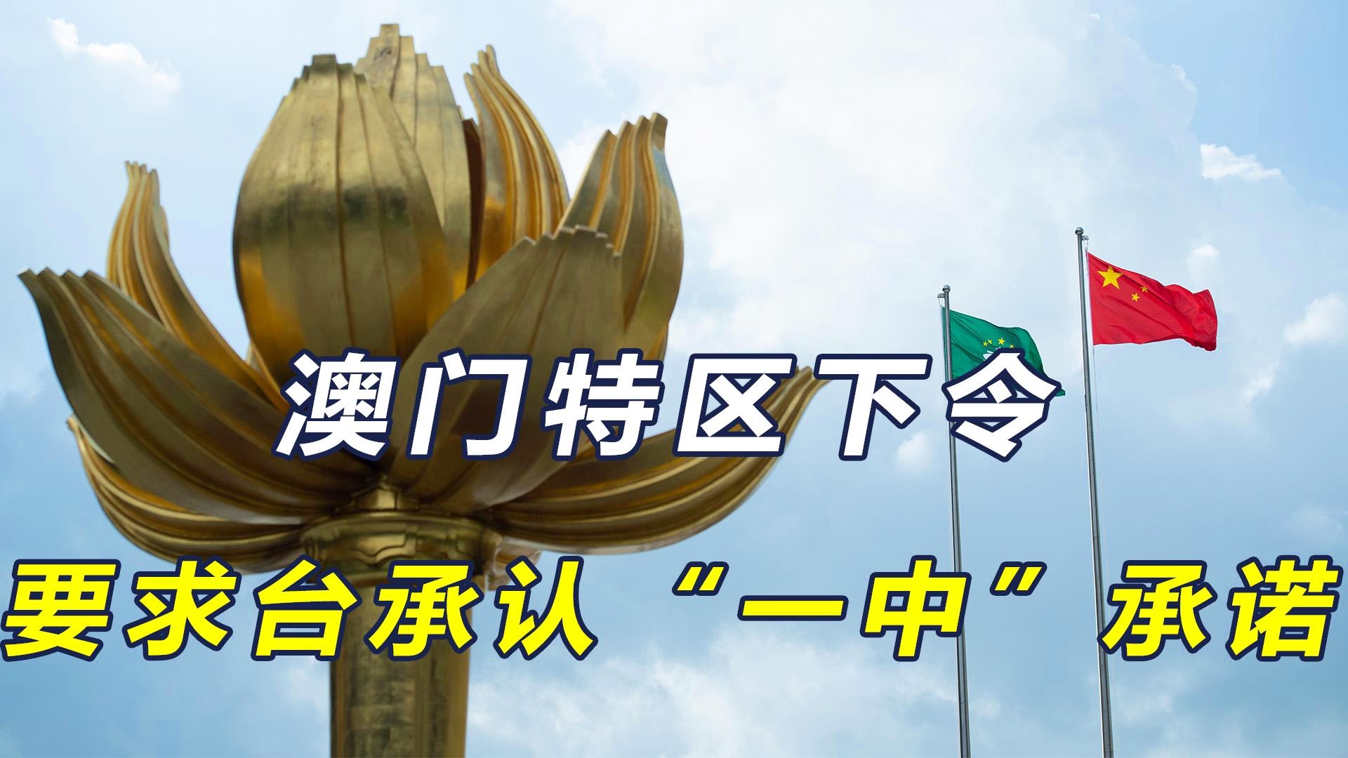 新澳門一碼一肖一特一中準選今晚之秘與博彩文化深度解析，澳門博彩文化深度解析，今晚一碼一肖一特一中準選的秘密