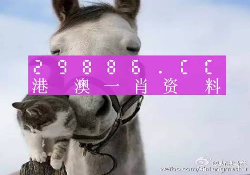 揭秘劉伯溫四肖選一碼的意思——探尋背后的故事與真相，揭秘劉伯溫四肖選一碼背后的真相與故事