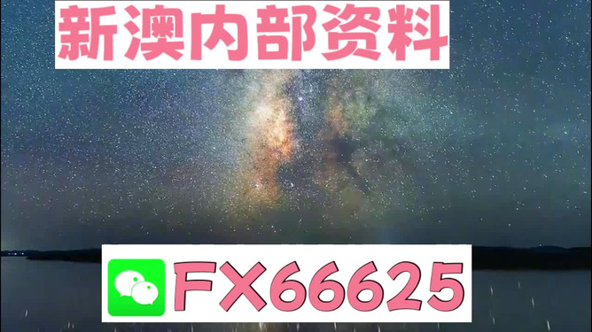 新澳天天開獎資料大全最新版，全面解析與最新資訊，新澳天天開獎資料大全最新版，全面解析及最新資訊匯總