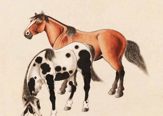馬一王中王特平一肖圖，深度解析與SEO優(yōu)化策略，深度解析馬一王中王特平肖圖，SEO優(yōu)化策略探討