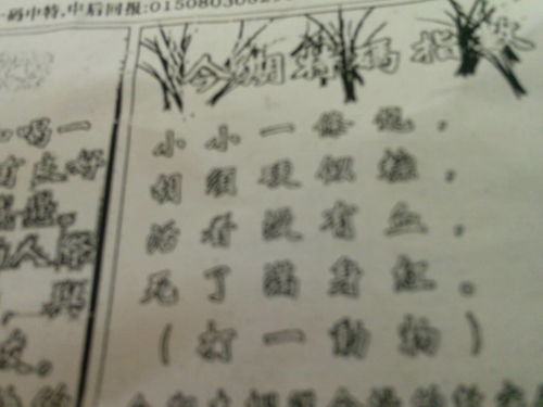 揭秘劉伯溫四肖選一肖的神秘預(yù)測(cè)藝術(shù)，劉伯溫四肖選一肖的神秘預(yù)測(cè)藝術(shù)揭秘