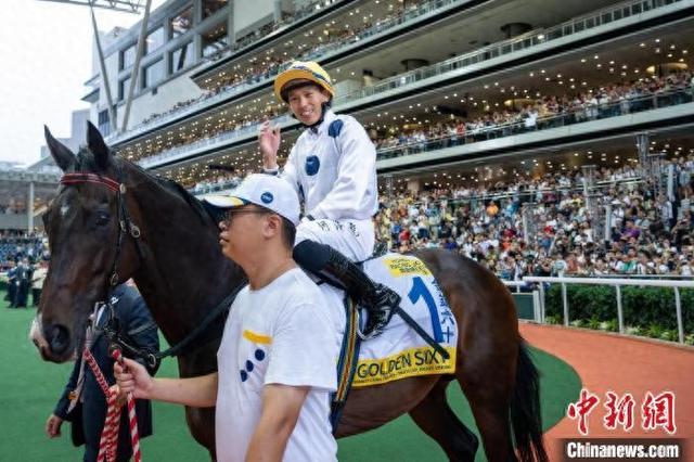 香港特馬王資料免費(fèi)公開(kāi)，揭秘背后的秘密，香港特馬王資料揭秘，免費(fèi)公開(kāi)背后的秘密