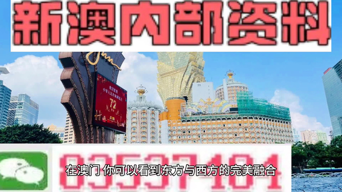 新澳新澳門正版資料，探索與解析，新澳新澳門正版資料深度解析與探索