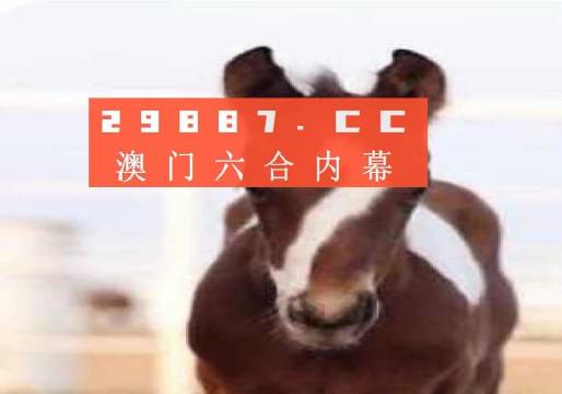 新澳門一碼一碼100準(zhǔn)確