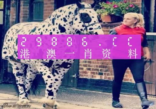 香港王中王一肖一特一中，揭秘背后的故事與秘密，香港王中王一肖一特一中，揭秘背后的神秘故事與傳奇