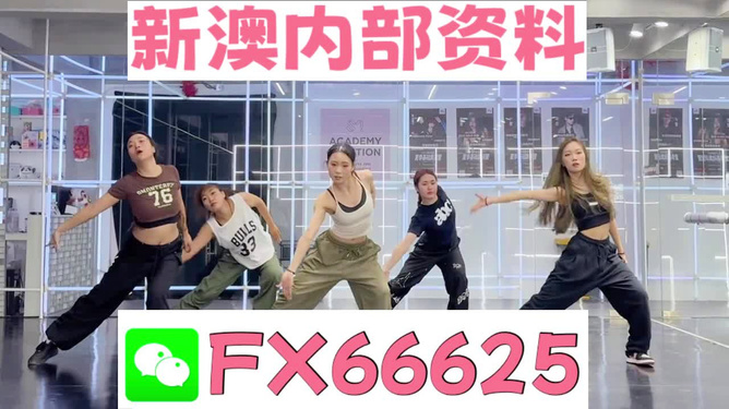 王中王內(nèi)部透肖一肖二碼，深度解析與探索，王中王內(nèi)部透肖一肖二碼深度解析與探索揭秘