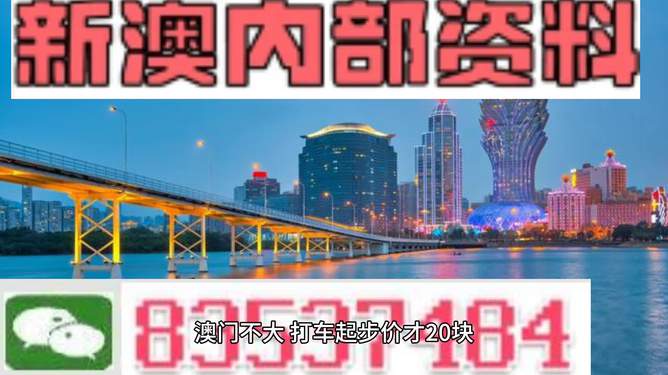 新澳內(nèi)部期期精準(zhǔn)，深度解析與SEO優(yōu)化策略，新澳內(nèi)部期期精準(zhǔn)深度解析與SEO優(yōu)化策略探討