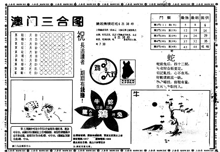 王中王資料一肖中特官婆，深度解析與SEO優(yōu)化策略，王中王資料一肖中特官婆深度解析與SEO優(yōu)化策略探討