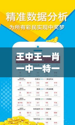 揭秘王中王猜一肖的神秘面紗，揭秘王中王猜一肖的神秘面紗，真相大解密！