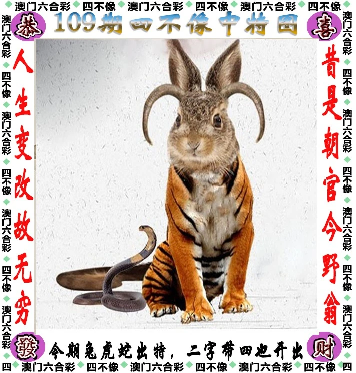 王中王四不像一肖中特，揭秘背后的奧秘與特點，揭秘王中王四不像一肖中特背后的奧秘與獨特特點