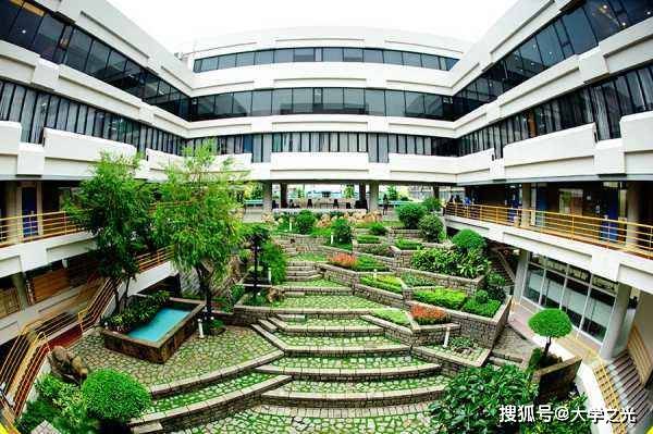 新澳芳草，最精準(zhǔn)的探尋與體驗(yàn)，新澳芳草，精準(zhǔn)探尋與獨(dú)特體驗(yàn)