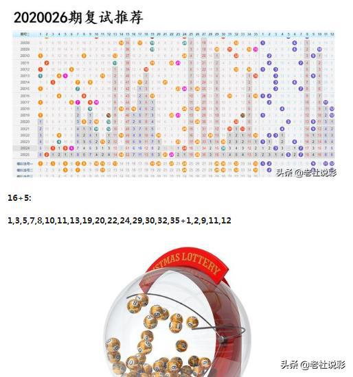 王中王026期指一生肖，深度解讀與SEO優(yōu)化策略，王中王026期生肖深度解讀與SEO優(yōu)化策略全解析