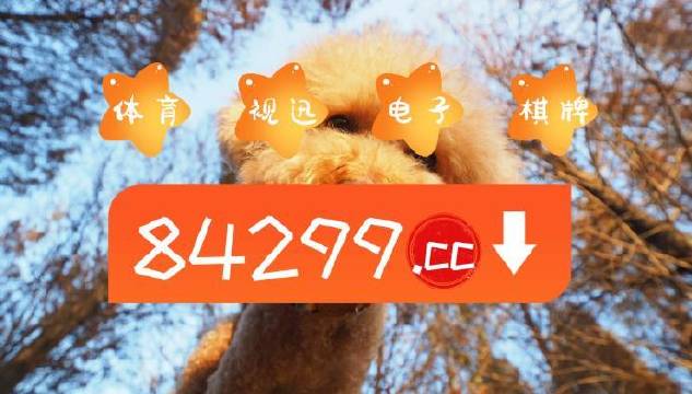今期必中一肖一碼白小姐，揭秘彩票背后的秘密與策略，揭秘彩票背后的秘密與策略，白小姐今期必中一肖一碼解析