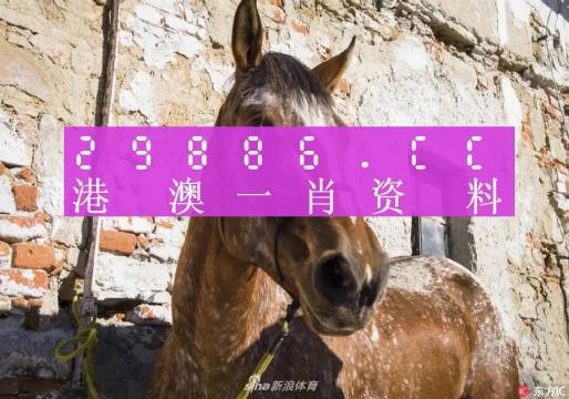 王中王資料一門肖中，深度解析與探索，王中王資料一門肖詳解，深度解析與探索