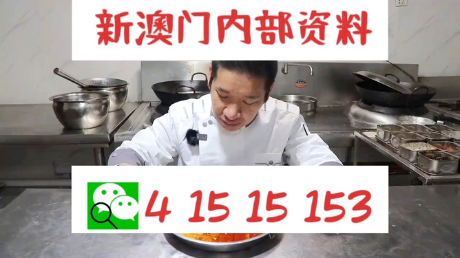 管家婆一肖資料大全，深度解析與探索，管家婆一肖資料深度解析與探索大全