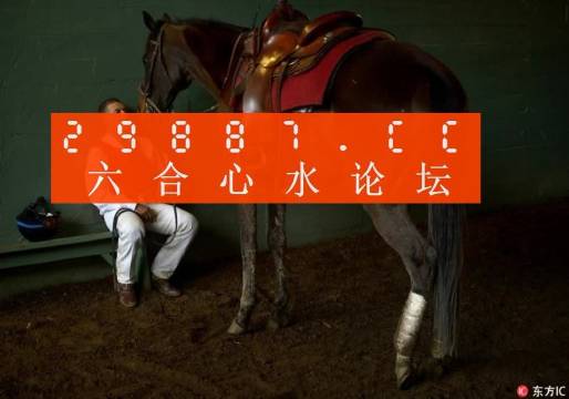 一肖一馬王中王一馬中特，深度解析與SEO優(yōu)化策略，一肖一馬王中王深度解析與SEO優(yōu)化策略探討