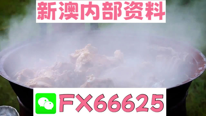 新澳全年免費資料大全，一站式獲取優(yōu)質(zhì)資源指南，新澳全年優(yōu)質(zhì)資源免費獲取指南