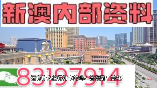 澳門(mén)免費(fèi)精準(zhǔn)資料，探索204年的秘密與機(jī)遇，澳門(mén)204年秘密與機(jī)遇探索，免費(fèi)精準(zhǔn)資料揭秘