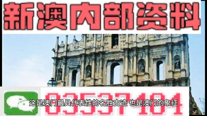 新澳門正版資料，探索與解析，澳門正版資料深度解析與探索
