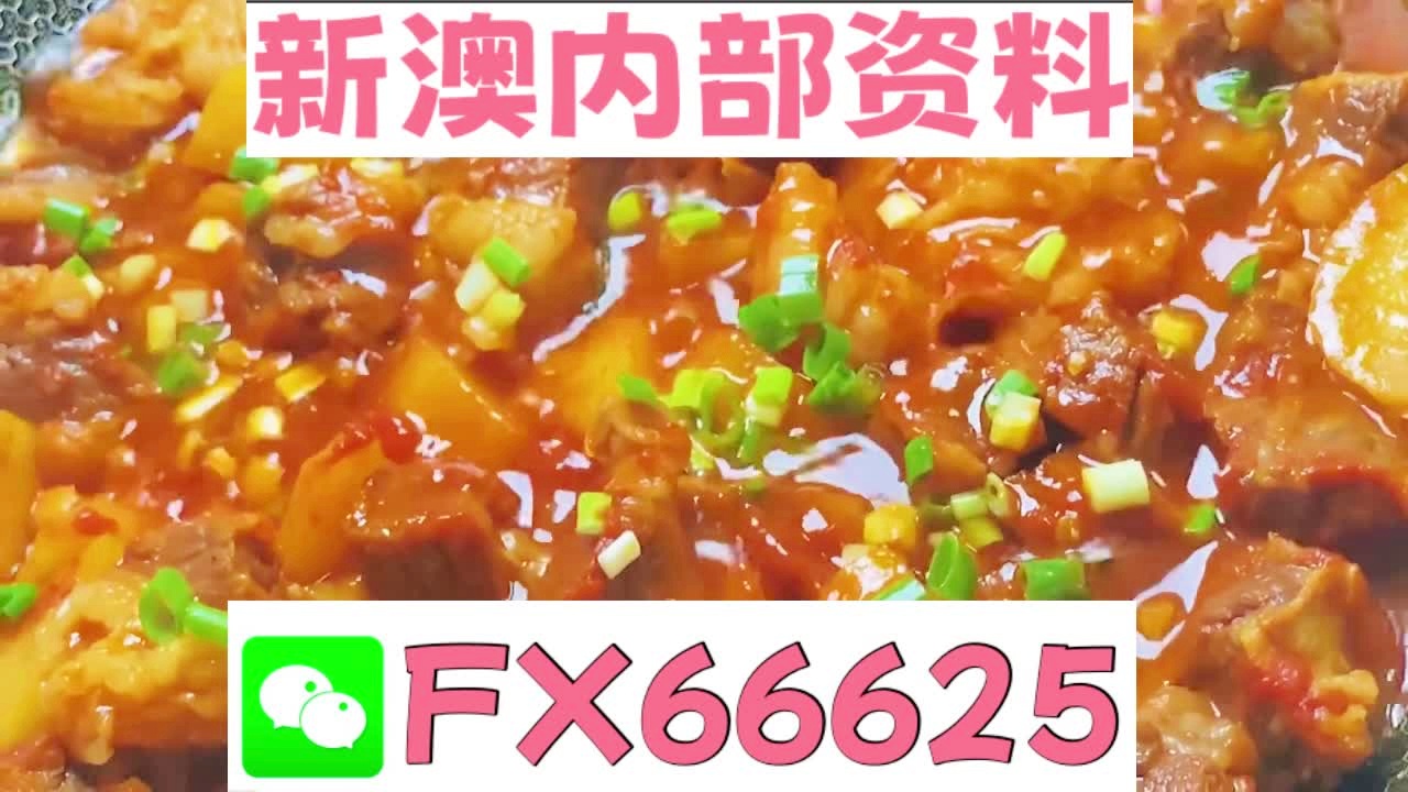新奧天天免費資料大全——探索與優(yōu)化的SEO之旅，新奧天天免費資料大全，SEO探索與優(yōu)化之旅