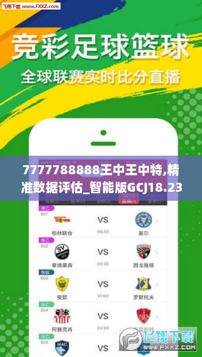 王中王319期指一生肖，深度解析與SEO優(yōu)化策略，王中王319期生肖深度解析與SEO優(yōu)化策略全攻略
