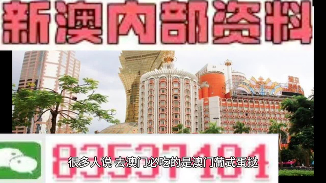 新澳門(mén)三中三碼精準(zhǔn)預(yù)測(cè)，揭秘成功概率背后的秘密與策略（附詳細(xì)解析），揭秘新澳門(mén)三中三碼成功預(yù)測(cè)背后的秘密與策略解析