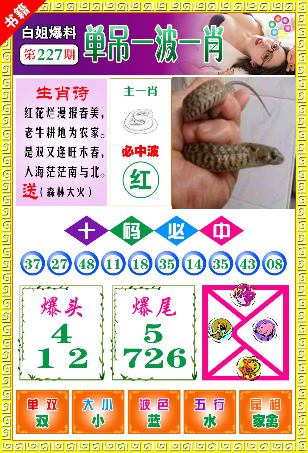 王中王免費開獎一肖結果，揭秘彩票背后的秘密，揭秘王中王彩票開獎內幕，一肖結果背后的秘密揭曉