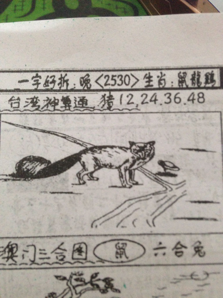 揭秘生肖奧秘，看圖猜一生肖劉伯溫的傳奇故事，揭秘生肖奧秘，劉伯溫傳奇故事中的生肖之謎探索