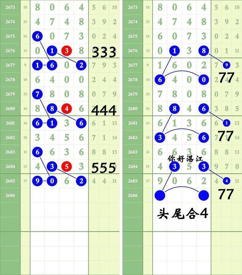一肖三碼王中王絕密，揭秘背后的秘密與策略洞察，揭秘一肖三碼王中王絕密策略與背后秘密
