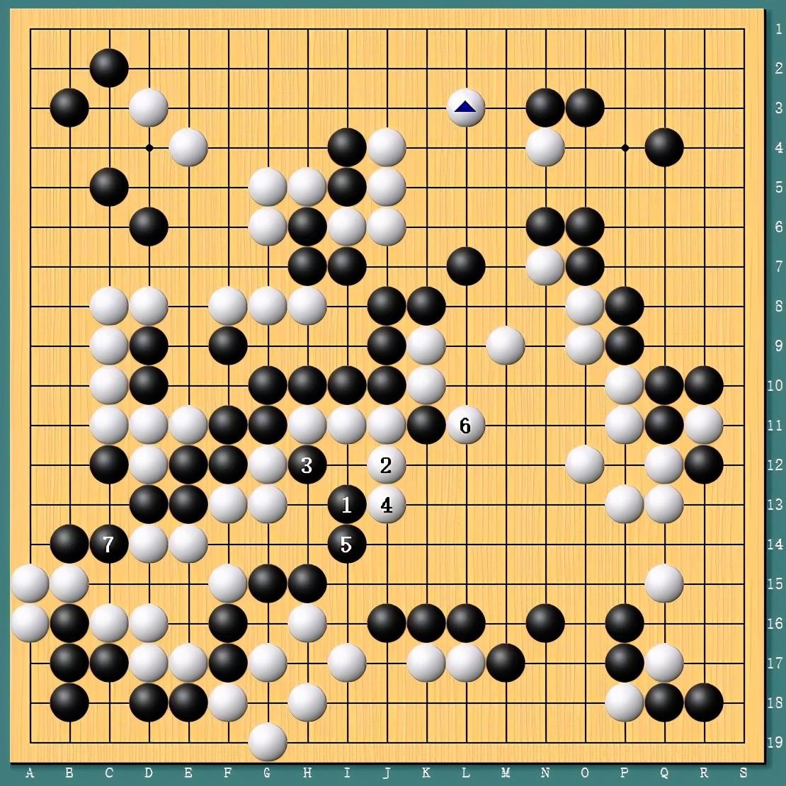 王中王四肖一碼資料論壇，探索與解析，王中王四肖一碼資料論壇，深度探索與解析