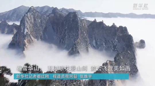 澳門最精準(zhǔn)龍門，探索真正的精準(zhǔn)之道，澳門最精準(zhǔn)龍門，揭秘真正的精準(zhǔn)之道