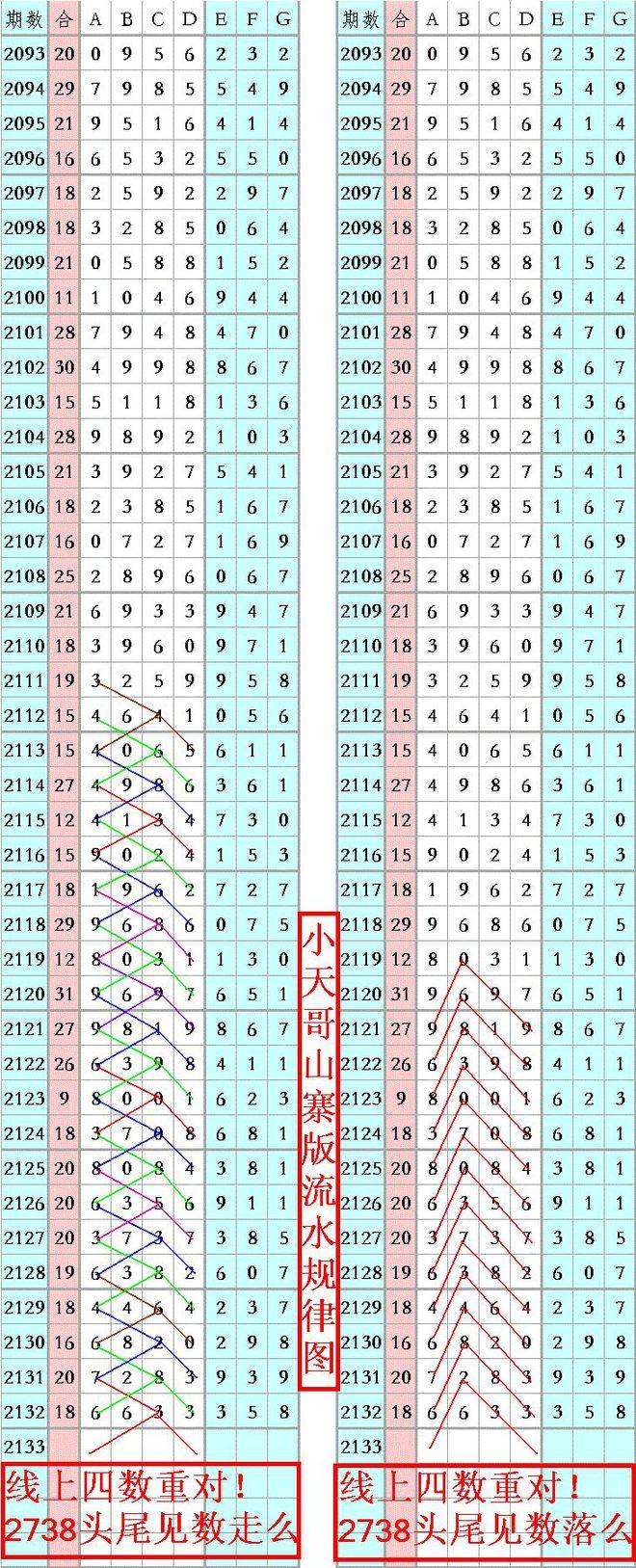 王中王資料一肖正特馬，深度解析與探索，王中王資料一肖正特馬深度解析與探索揭秘